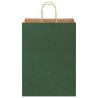 Sacs en papier 250 pcs avec poignées vert 32x17x44 cm 