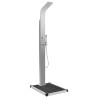 Douche d'extérieur avec receveur de douche WPC Acier inoxydable 