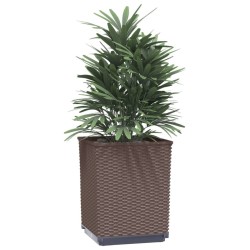 Jardinières 4 pcs marron 30x30x37 cm polypropylène 