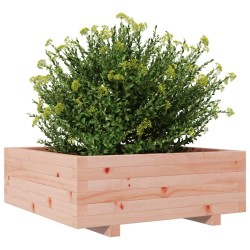 Jardinière 70x70x26,5 cm bois massif douglas 