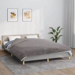 Couverture lestée avec housse Gris 200x200 cm 13 kg Tissu 