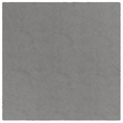 Couverture lestée avec housse Gris 200x200 cm 13 kg Tissu 
