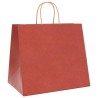Sacs en papier 250 pcs avec poignées rouge 32x22x28 cm 