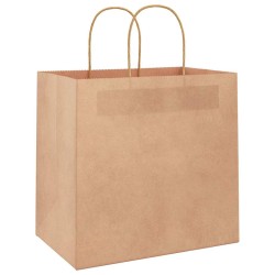 Sacs en papier 50 pcs avec poignées marron 26x17x25 cm 