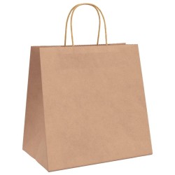 Sacs en papier 50 pcs avec poignées marron 26x17x25 cm 