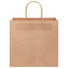 Sacs en papier 50 pcs avec poignées marron 26x17x25 cm 