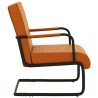 Chaise cantilever Marron Similicuir 