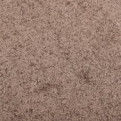 Paillasson Marron 40x60 cm 