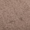 Paillasson Marron 40x60 cm 