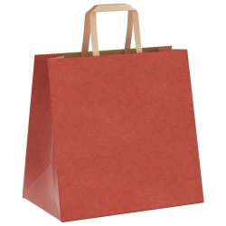 Sacs en papier 250 pcs avec poignées rouge 26x17x25 cm 
