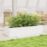 Jardinière blanc 110x40x23 cm bois de pin massif 