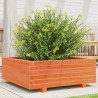 Jardinière cire marron 70x70x26,5 cm bois de pin massif 