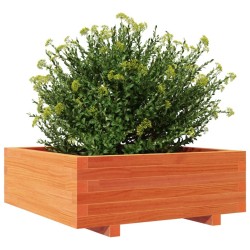 Jardinière cire marron 70x70x26,5 cm bois de pin massif 