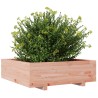 Jardinière 80x80x26,5 cm bois massif de douglas 