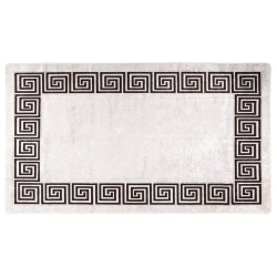 Tapis lavable antidérapant 190x300 cm beige clair 
