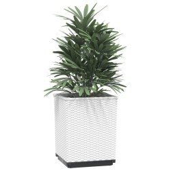 Jardinières 4 pcs blanc 30x30x37 cm polypropylène 