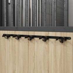 Porte-bride pour 5 brides avec 5 crochets noir fer 