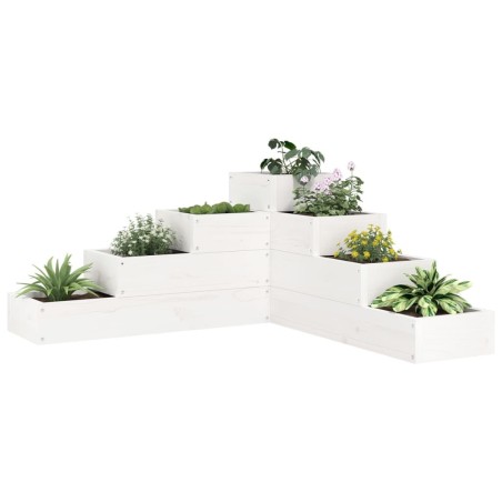 Jardinière 4 niveaux 80,5x79x36 cm blanc bois de pin massif 