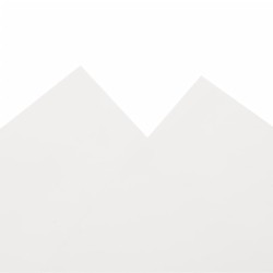 Bâche blanc 1,5x10 m 650 g/m² 