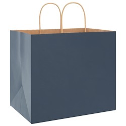 Sacs en papier 250 pcs avec poignées bleu 32x22x28 cm 