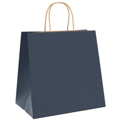 Sacs en papier 50 pcs avec poignées bleu 26x17x25 cm 
