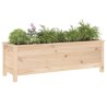 Lit surélevé de jardin 119,5x40x39 cm bois de pin massif 