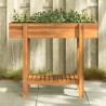 Lit surélevé de jardin 90x30x75 cm bois massif acacia 