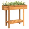 Lit surélevé de jardin 90x30x75 cm bois massif acacia 