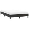 Cadre de lit sans matelas noir 120x210 cm velours 