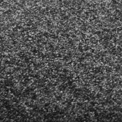 Paillasson lavable Anthracite 120x180 cm 