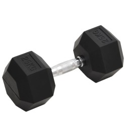 Haltère 25 kg Fonte 