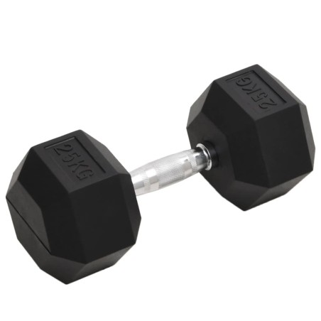 Haltère 25 kg Fonte 