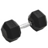 Haltère 25 kg Fonte 