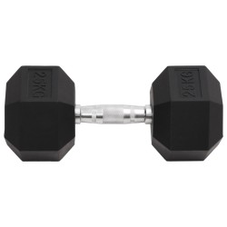 Haltère 25 kg Fonte 