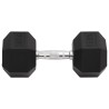 Haltère 25 kg Fonte 