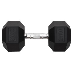 Haltère 25 kg Fonte 