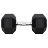 Haltère 25 kg Fonte 