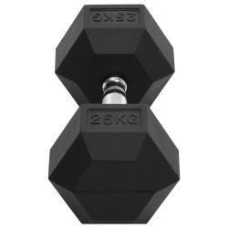 Haltère 25 kg Fonte 
