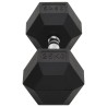 Haltère 25 kg Fonte 