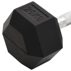 Haltère 25 kg Fonte 