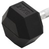 Haltère 25 kg Fonte 