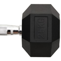 Haltère 25 kg Fonte 