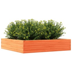 Jardinière cire marron 110x110x23 cm bois de pin massif 