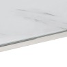 Table basse argenté acier inoxydable et verre trempé 