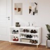 Armoire à chaussures Blanc 102x36x60 cm Bois d'ingénierie 