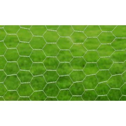 Grillage pour volière Acier galvanisé 25 x 0,5 m Argenté 