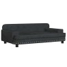 Lit pour chien noir 90x53x30 cm velours 