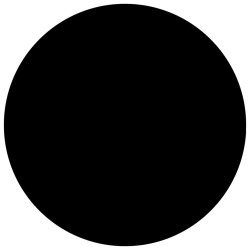 Couverture de piscine Noir 300 cm PE 
