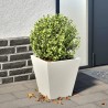 Jardinière blanc 30x30x30 cm acier 