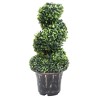 Plante de buis artificiel en spirale avec pot Vert 59 cm 
